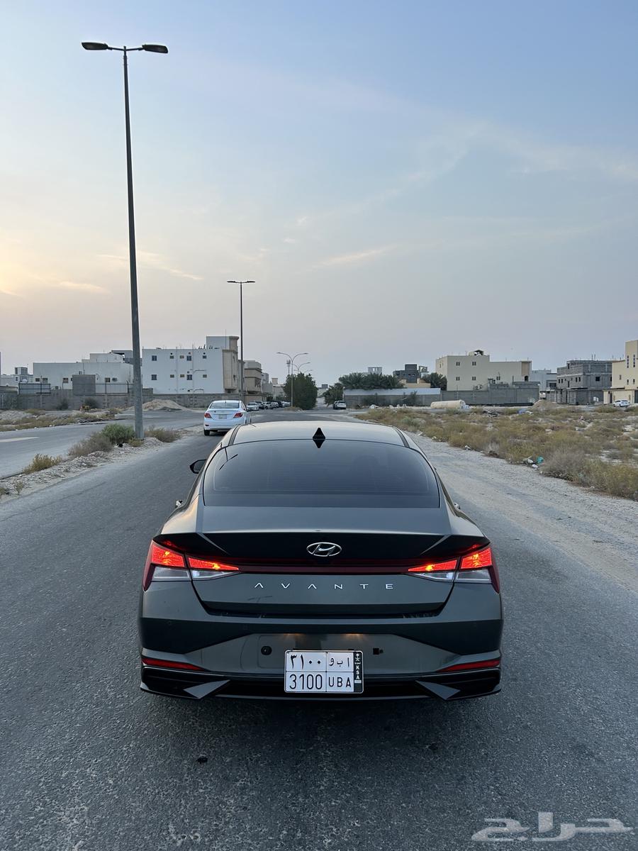 Elantra (Avante) 202364448713591553114