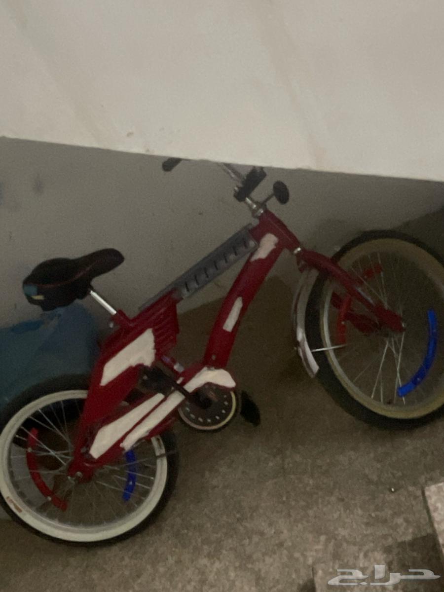 رامبو اندنوسي مقاس 2064451672944131110