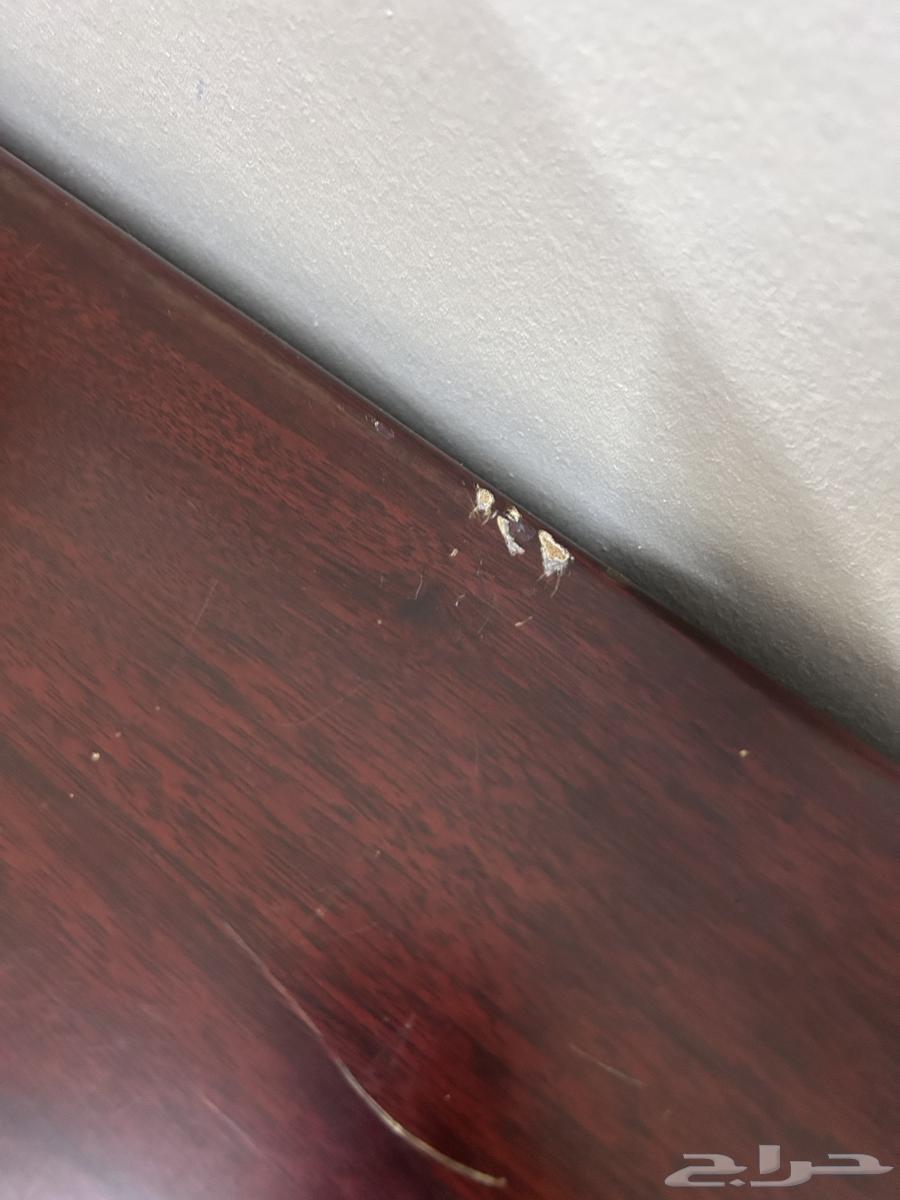 مكتب بني64307237507969112