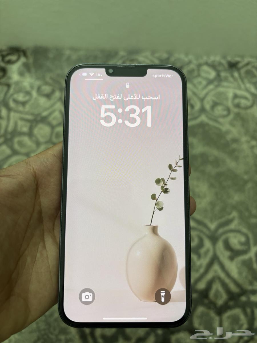 iPhone64310452844802114