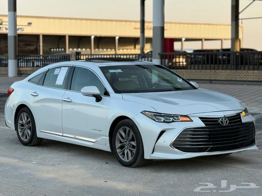 Avalon - 2019 - Saudi - Full Turnq64447243162115113