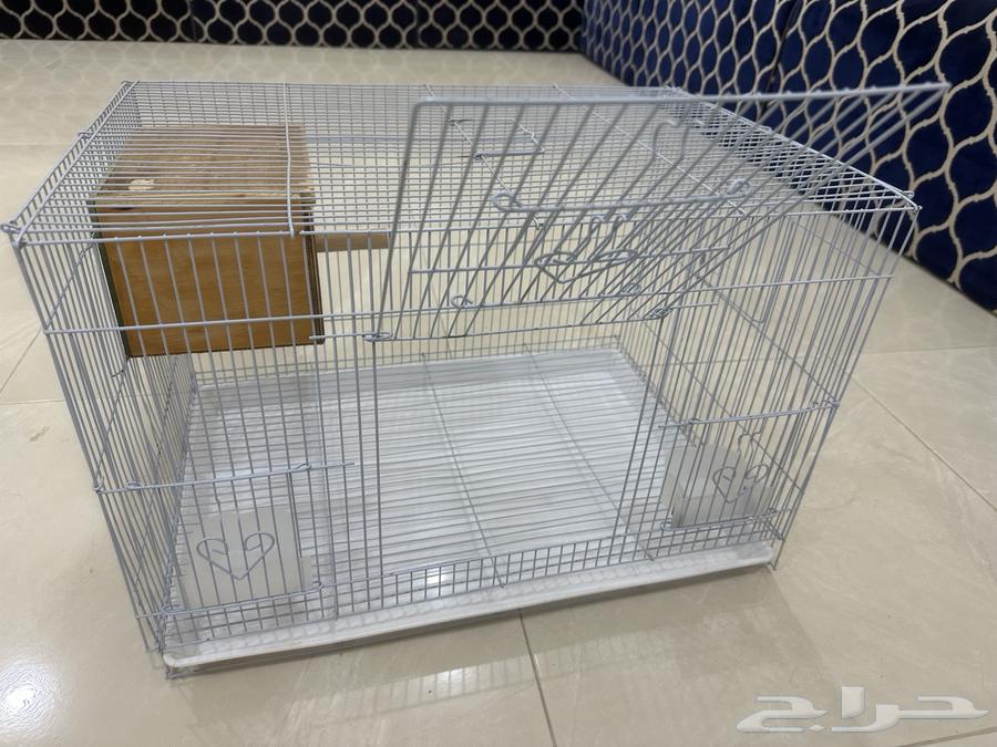 Bird net64308501247361112