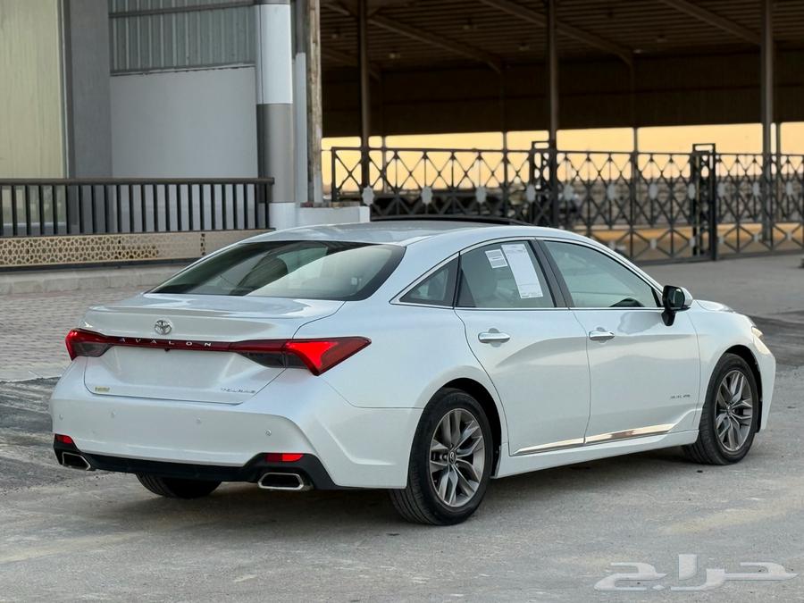 Avalon - 2019 - Saudi - Full Turnq64447243162115114