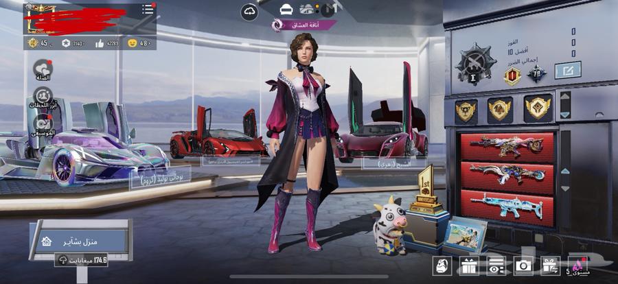 حساب ببجي للبيع64308046639747110