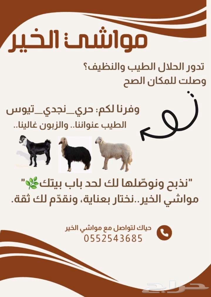 للبيع طليان حريات ونجديات64249424369795110