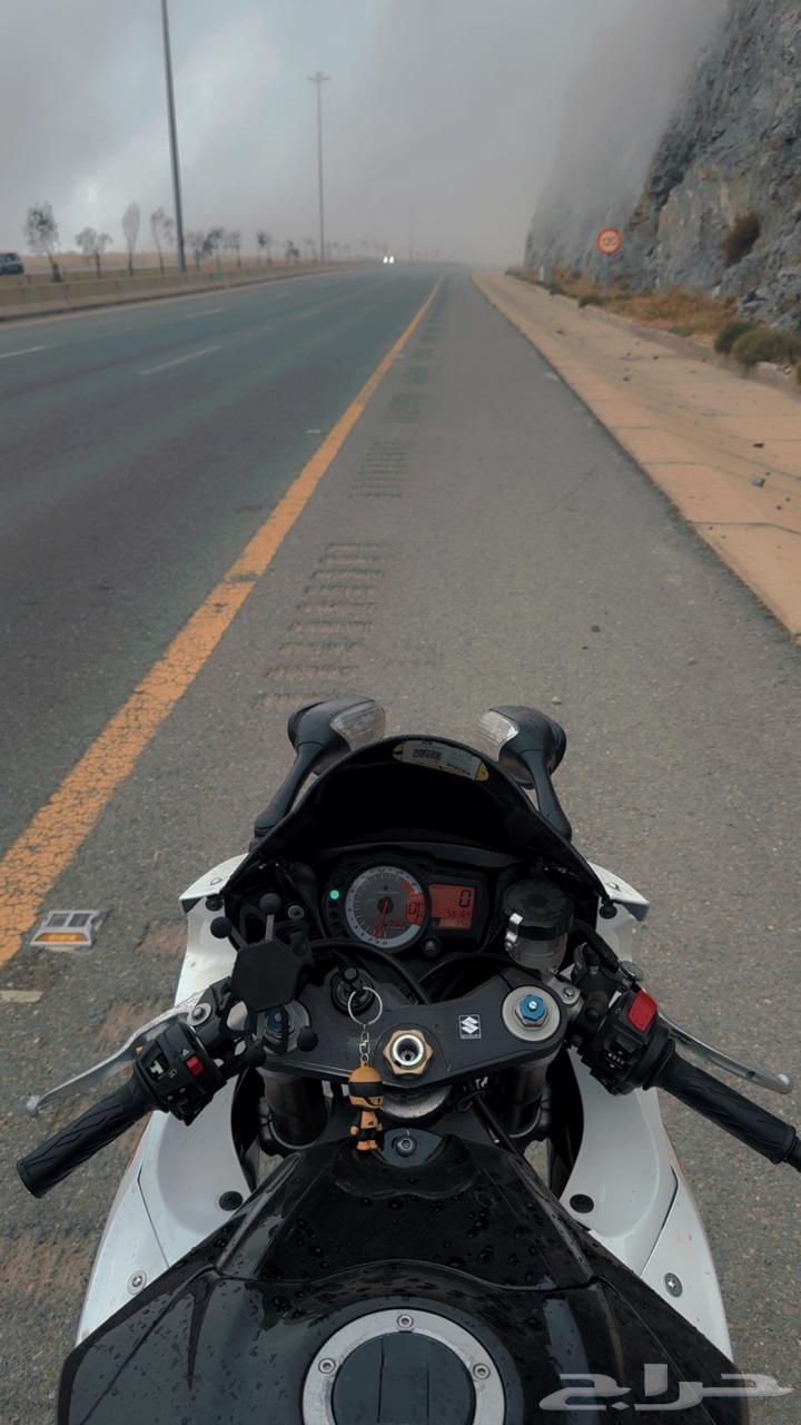 دباب ريس 60064441185463938113