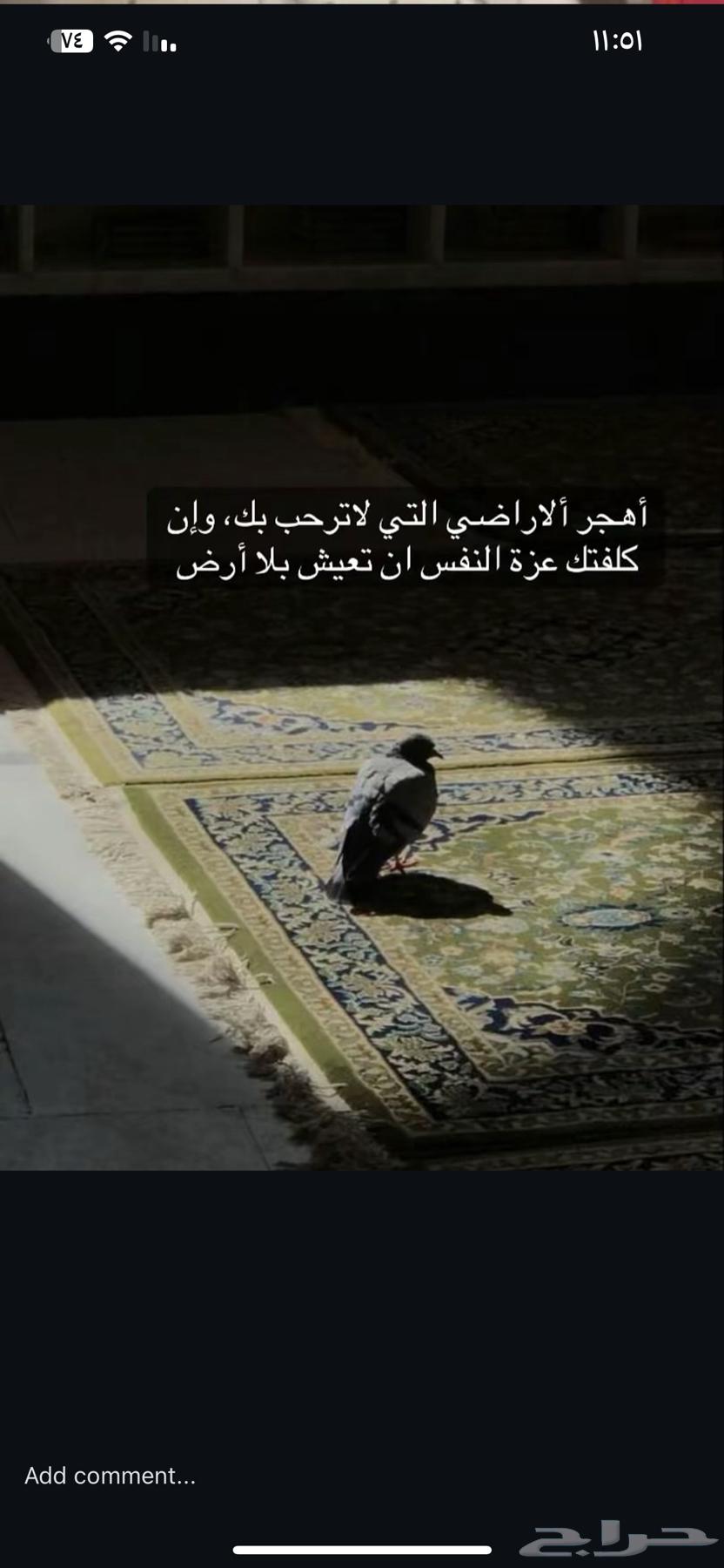 م ط ل و ب63613611565186110