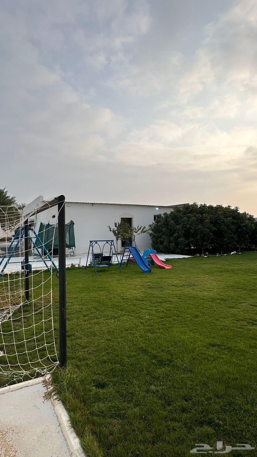 Daily rental and for sale chalet west of Al-Qa'id Al-Tarbiya63613609727875114