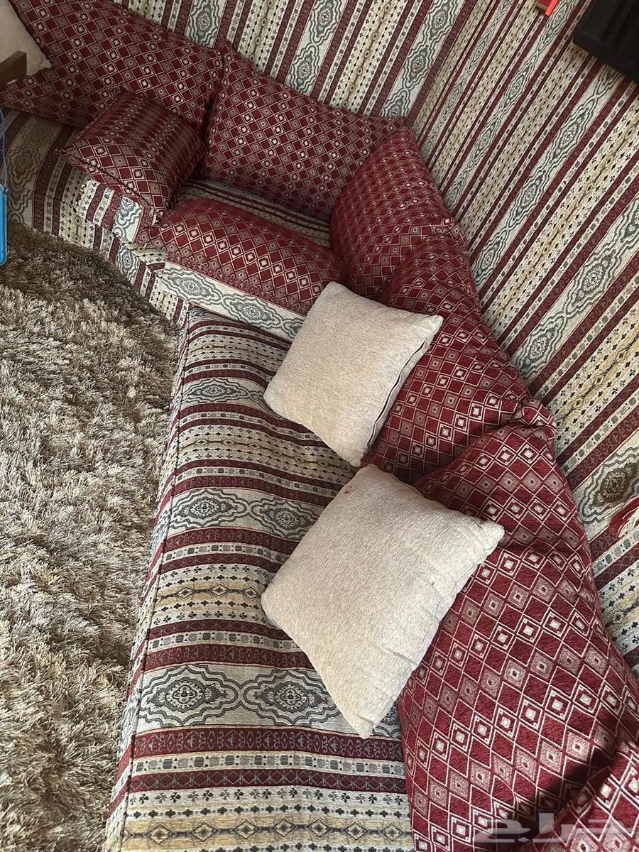 للبيع اثاث وبيت شعر64311550890754113