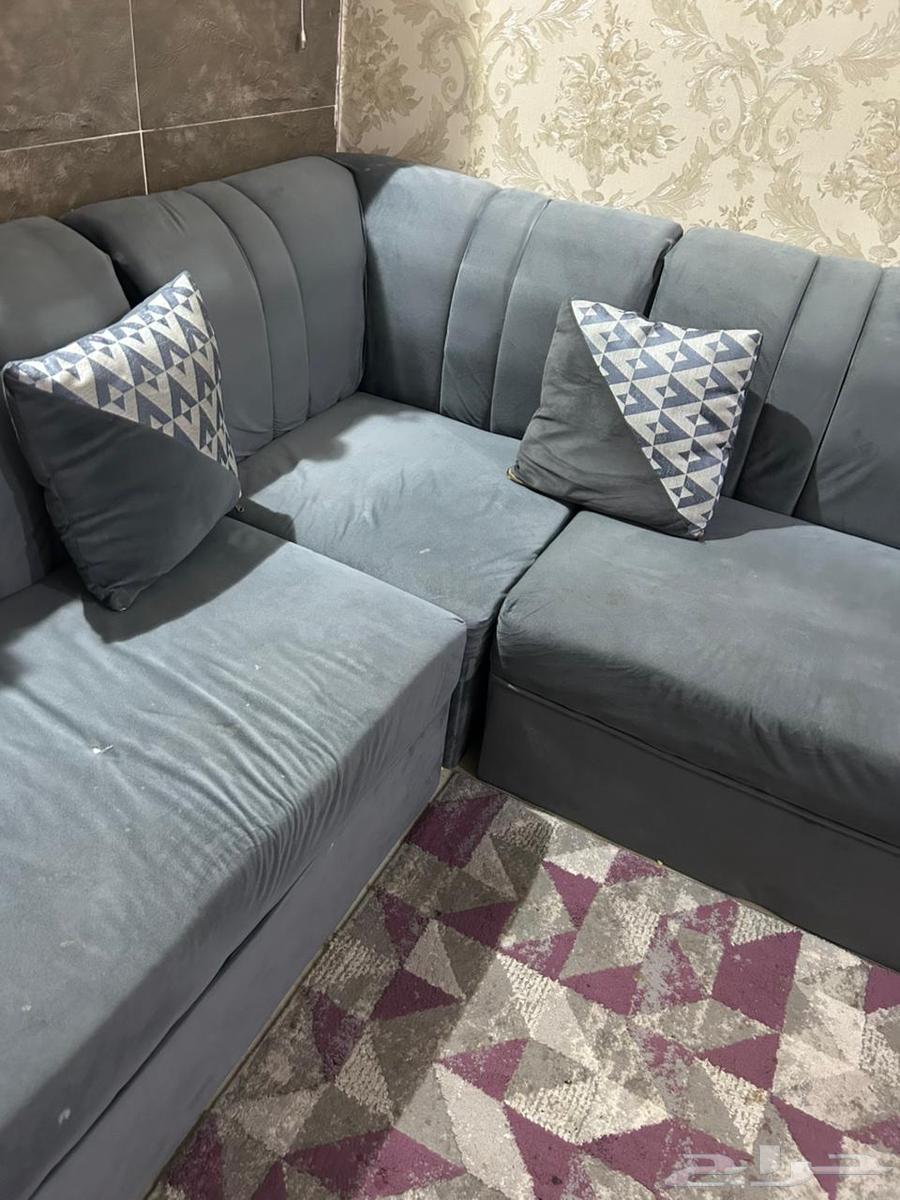 6-meter sofa64305219453313112