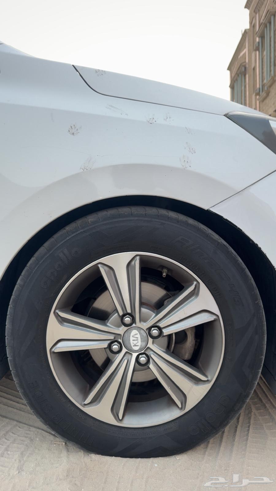 جنوط للبيع64463348112386112