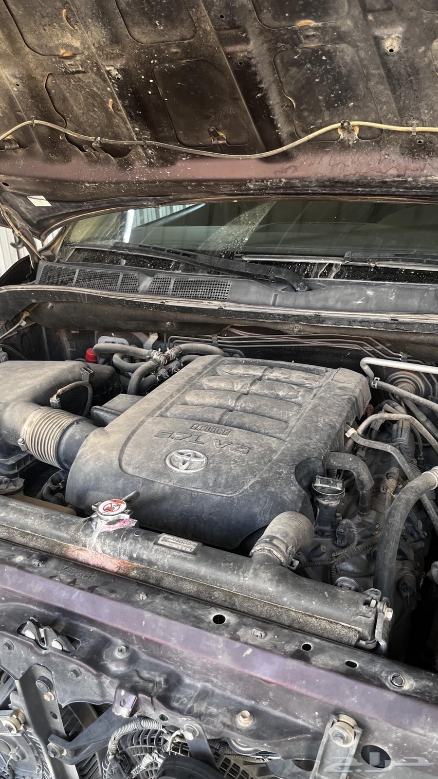 Sequoia64460884836098110