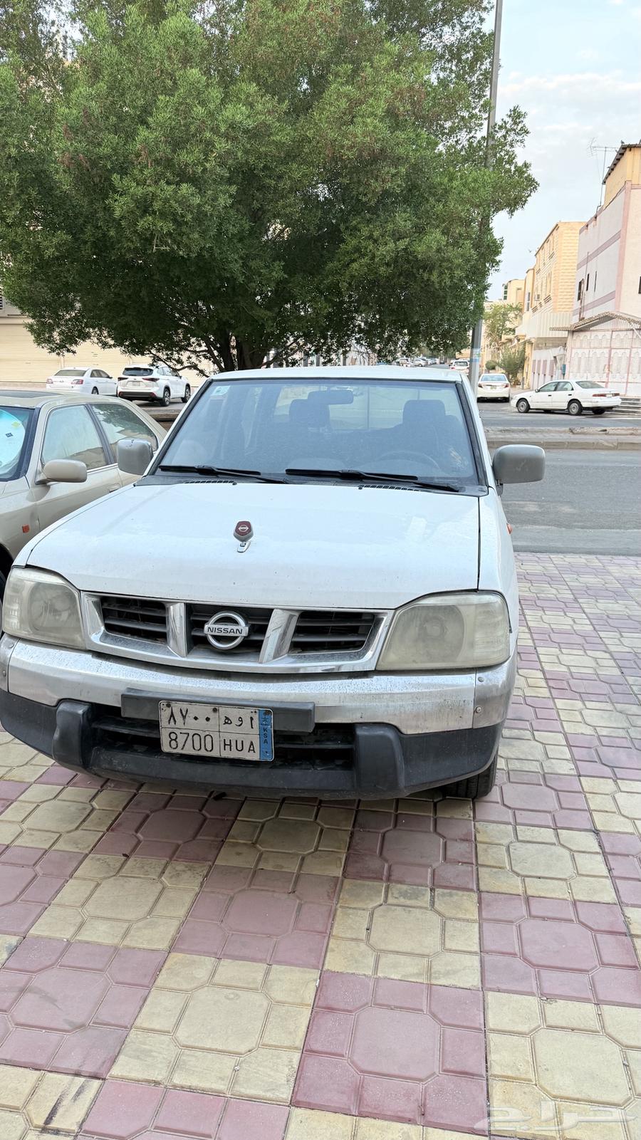 Ddsan64453641379843113