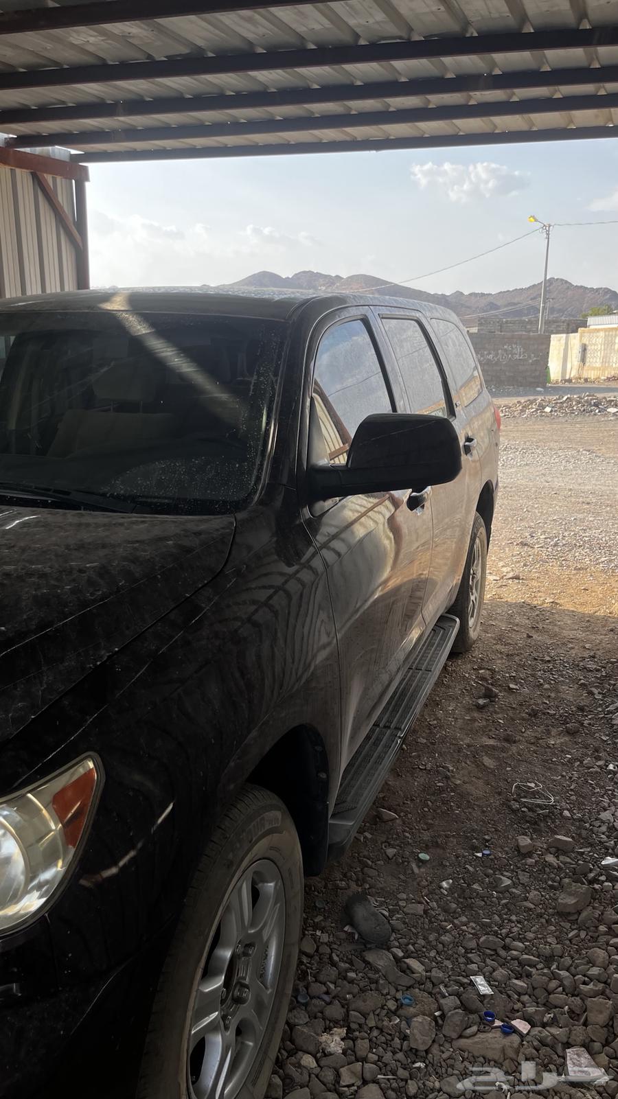 Sequoia64460884836098114