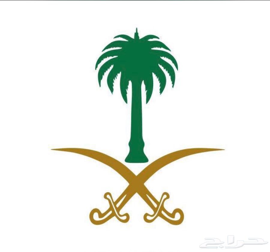 لوحة مميزة للبيع (ا ل ن 6) خصوصي64457687950723110