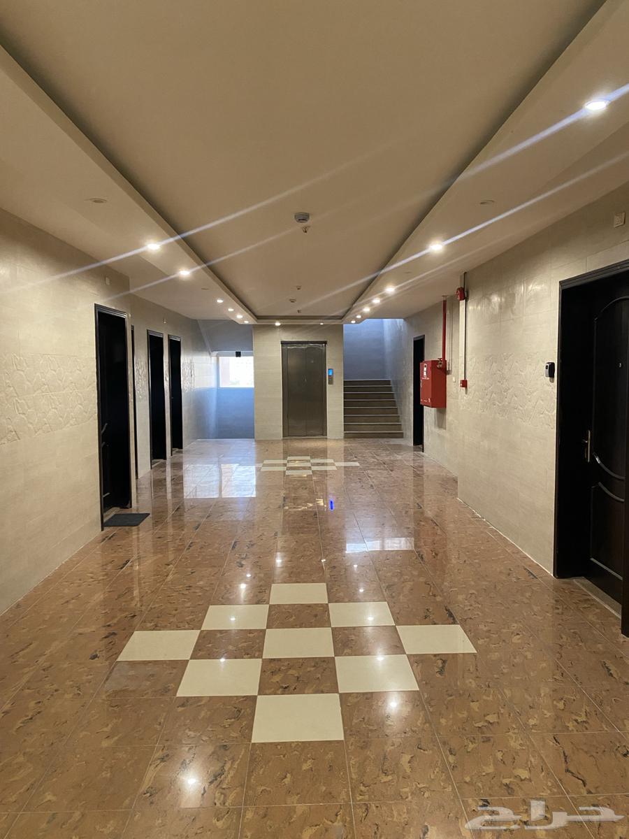 شقة للإيجار