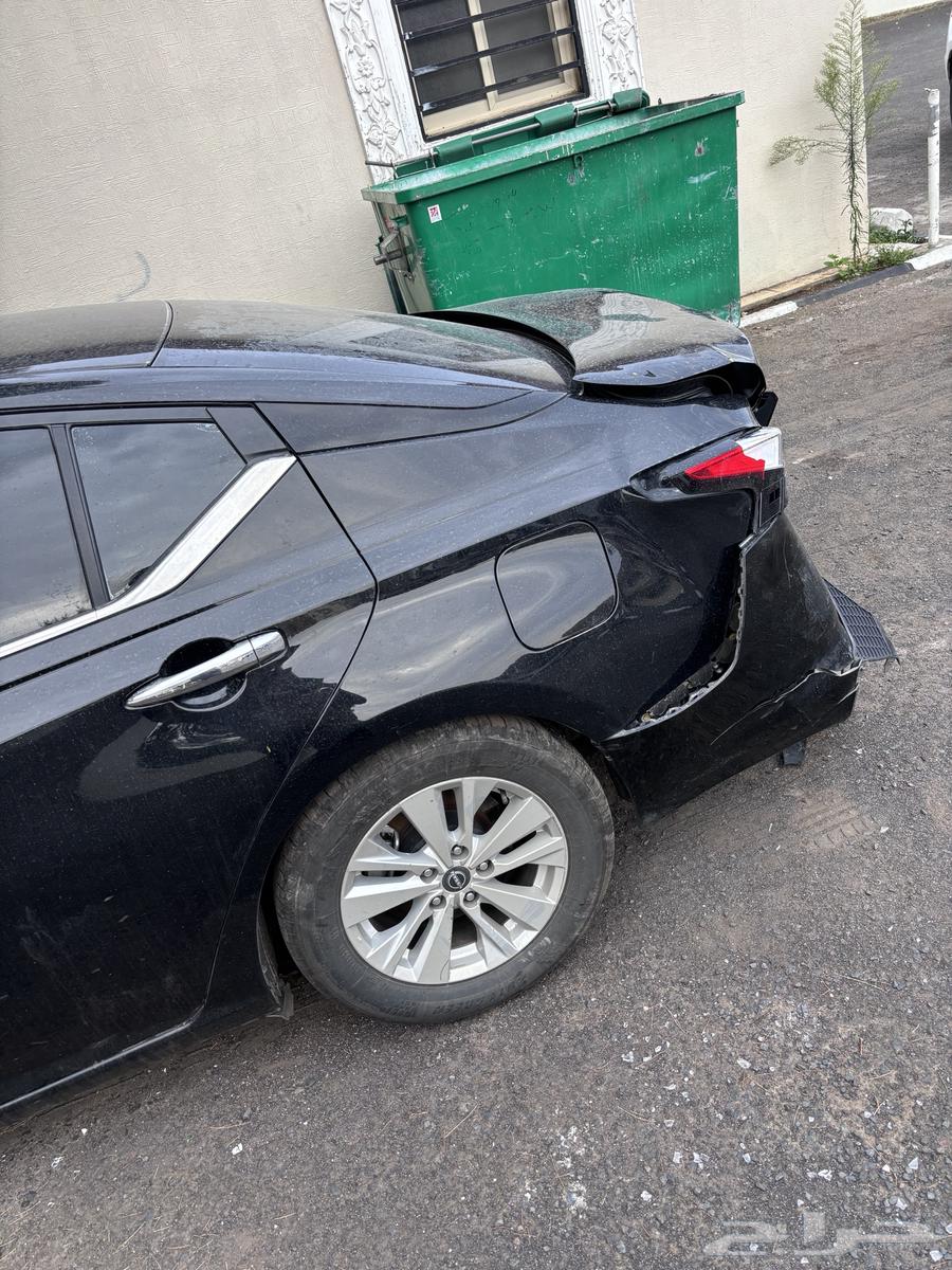 Taima 2023 Shocked64465535357827114