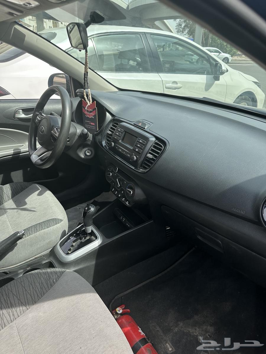 Pegas 202164456776857985111