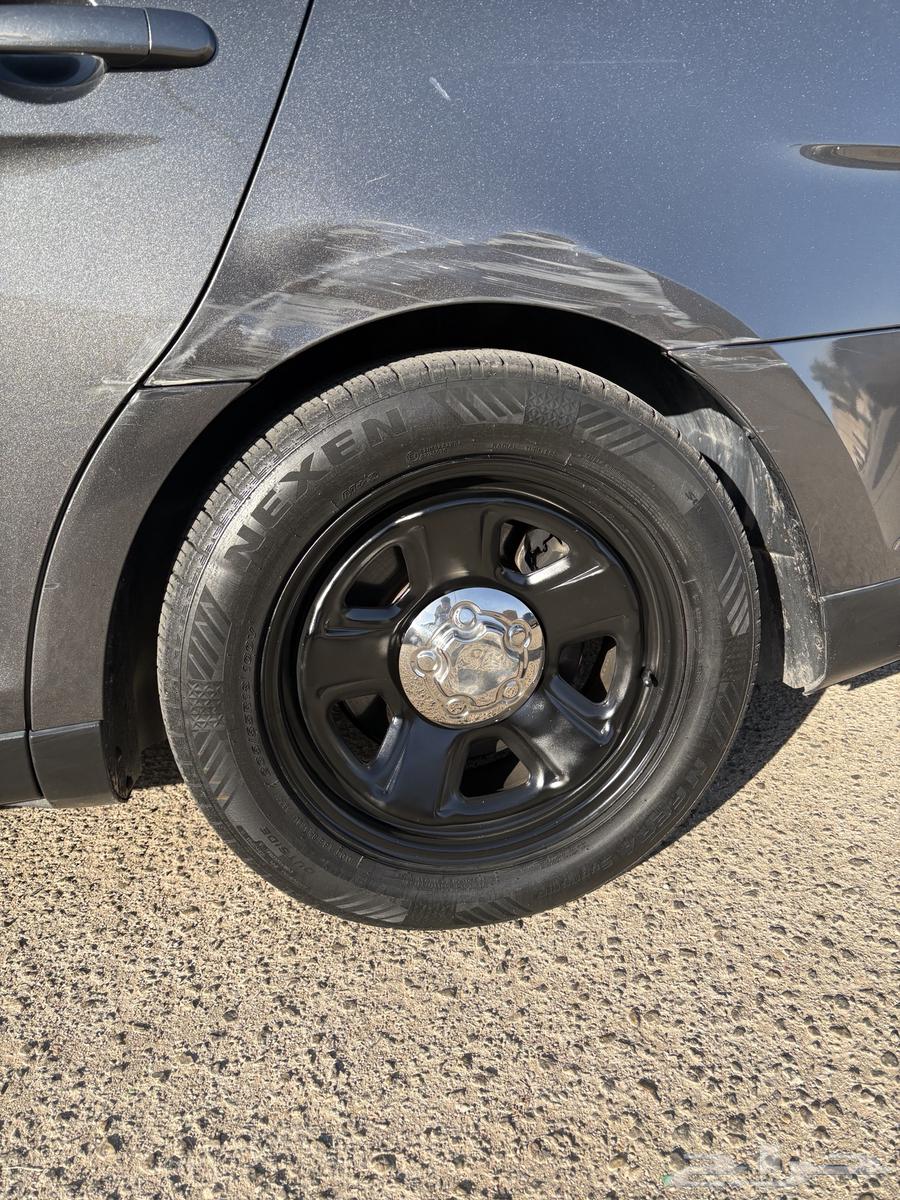 جنوط تورس و دوج بوليسي مع الاكواب64453806153601113