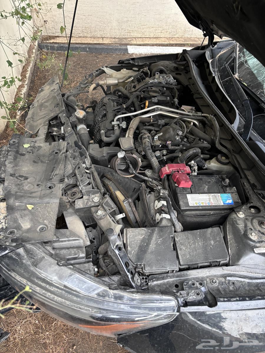 Taima 2023 Shocked64465535357827112