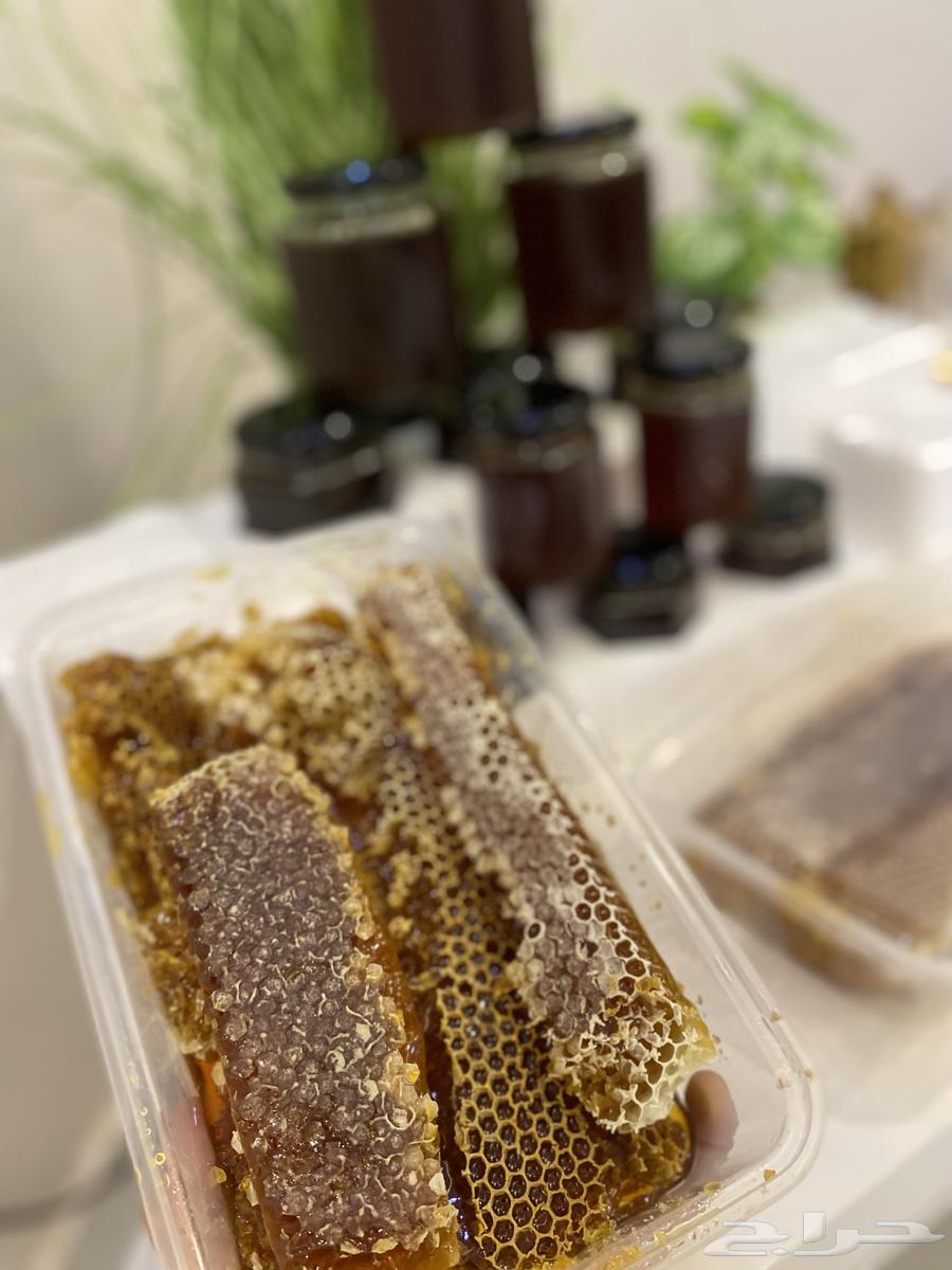 عسل طلح حائل مضمون بمشيئة الله64320926066819113