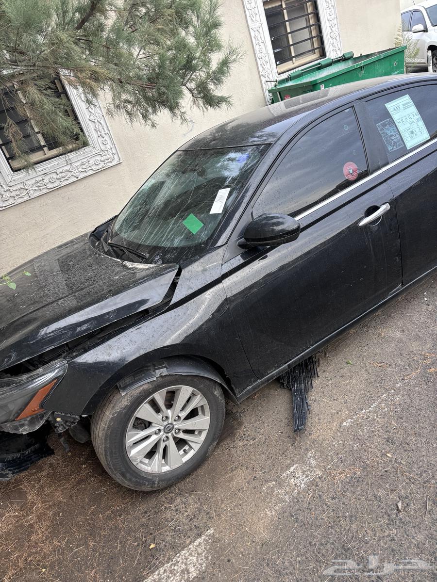 Taima 2023 Shocked64465535357827110