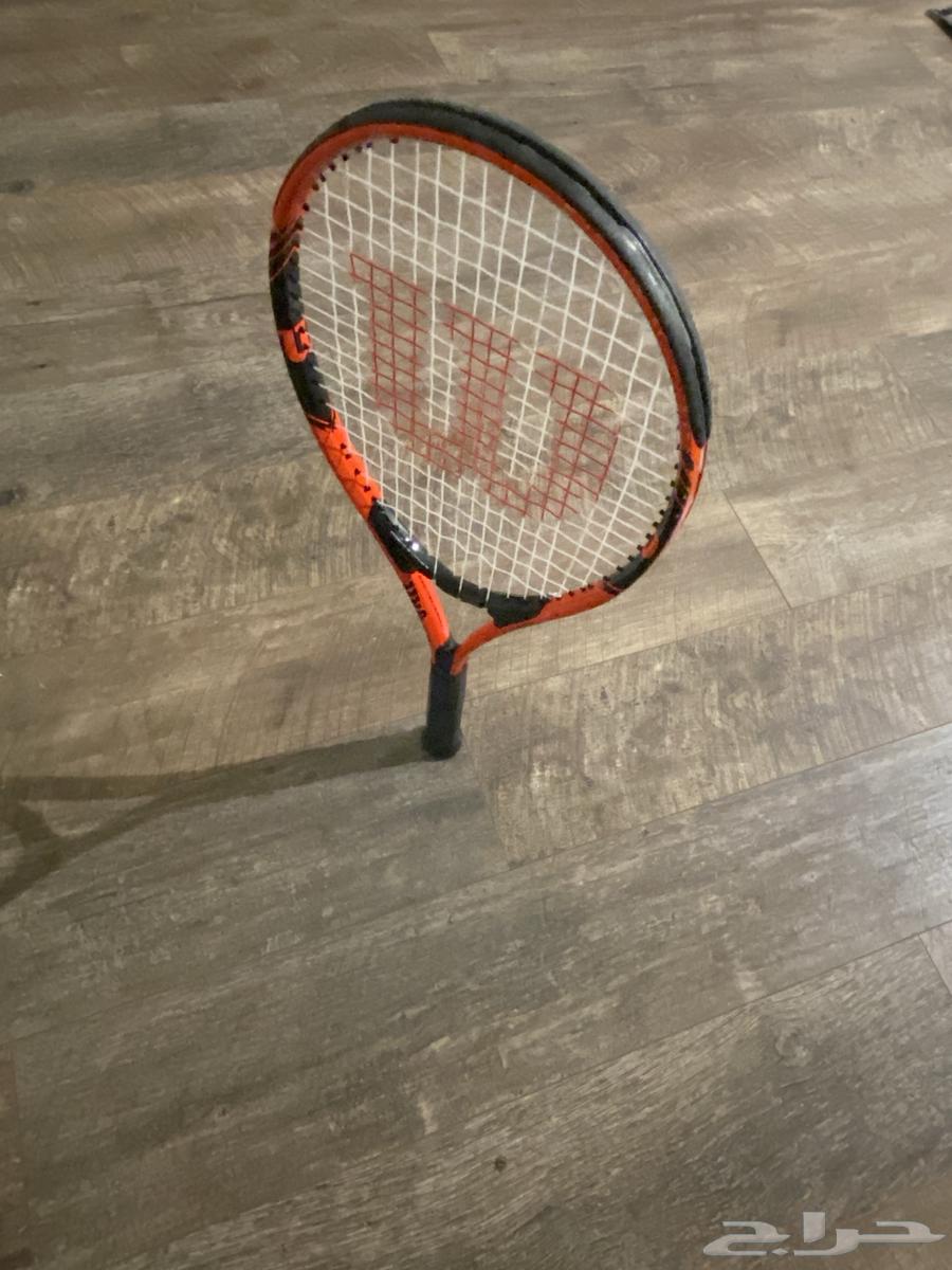 مضرب تنس ويلسون - ألومينيوم - Wilson64322222988163114