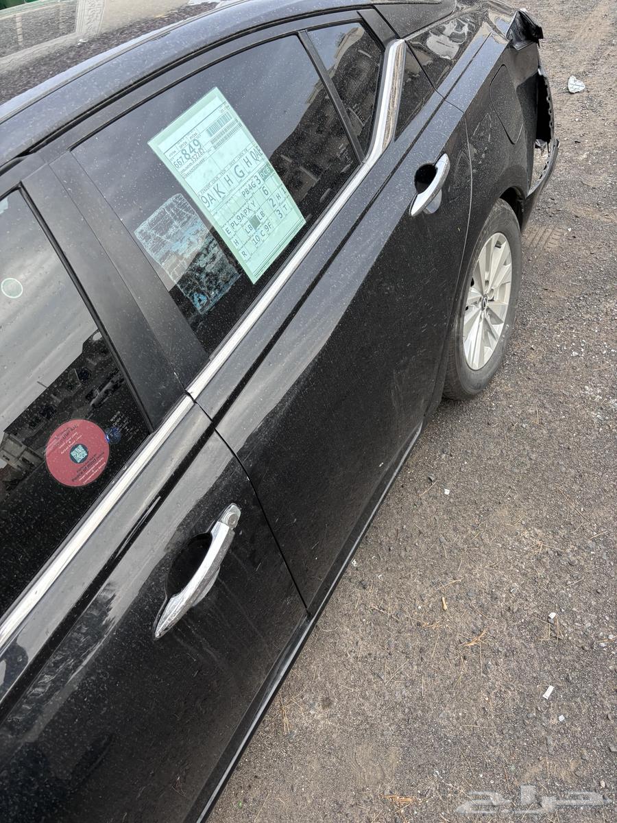 Taima 2023 Shocked64465535357827113