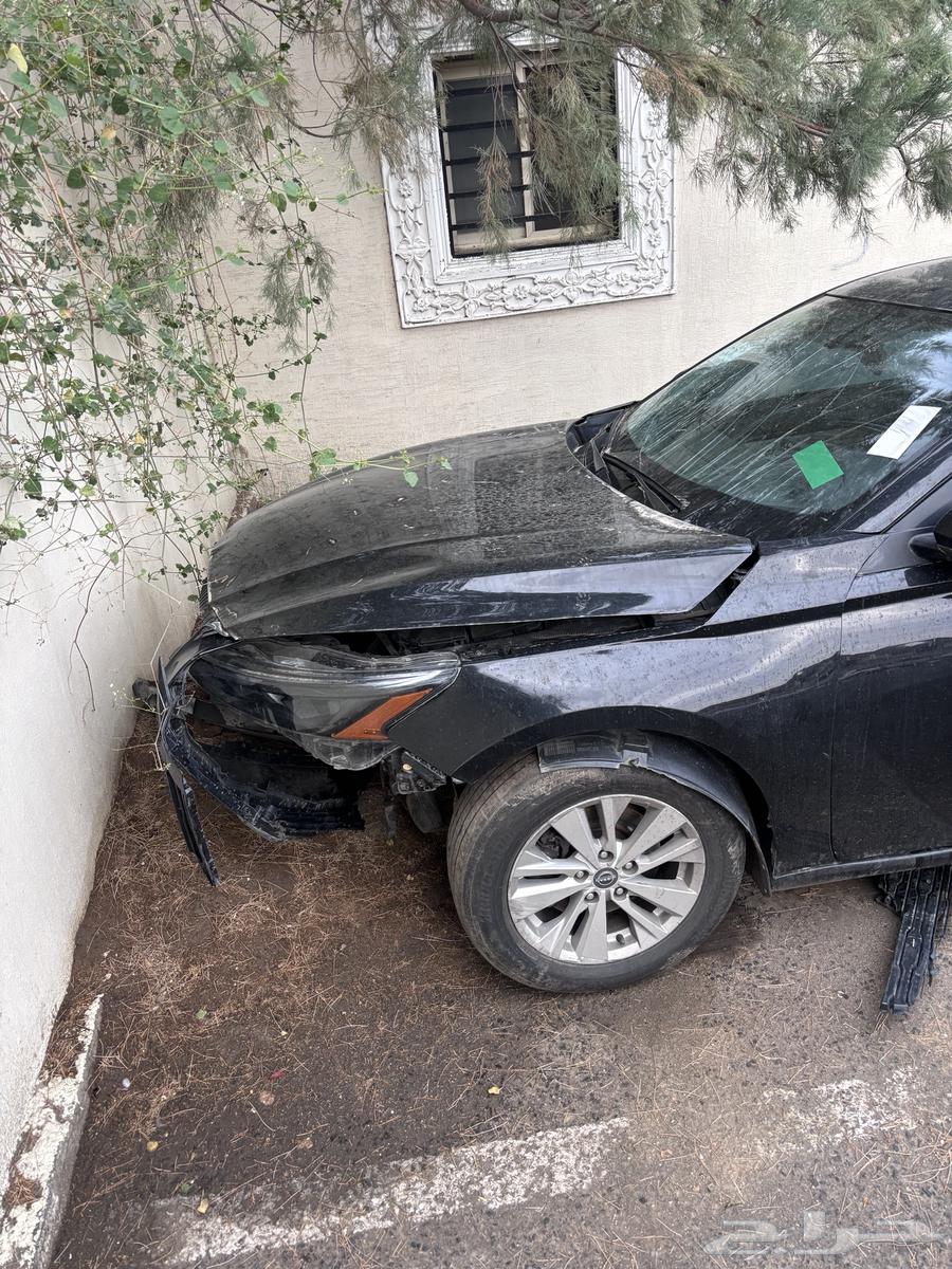 Taima 2023 Shocked64465535357827111