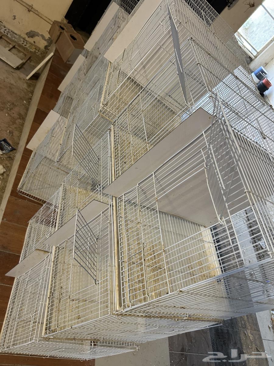 Cages 60164315135559425114