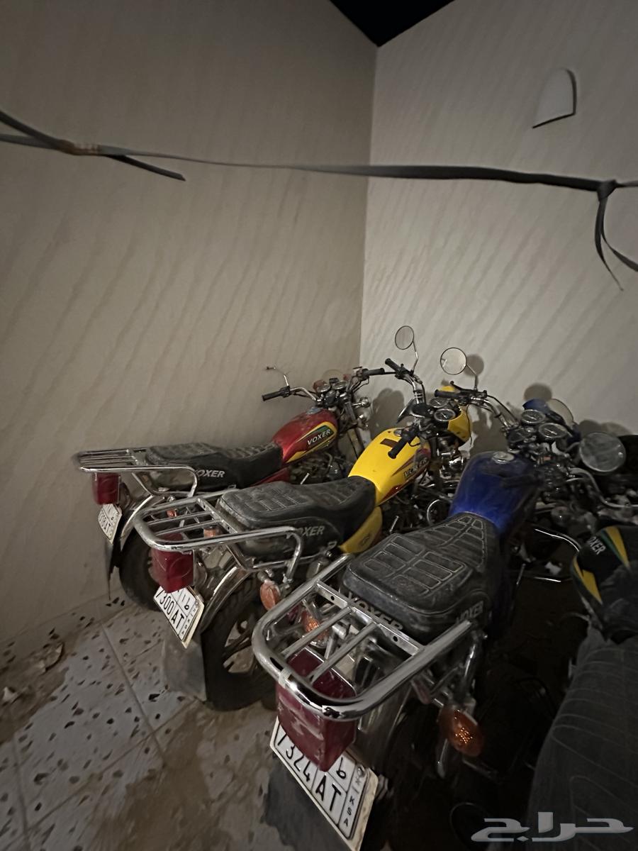 20دباب فوكسر 2024و2025 للإيجار او البيع64518888053505114