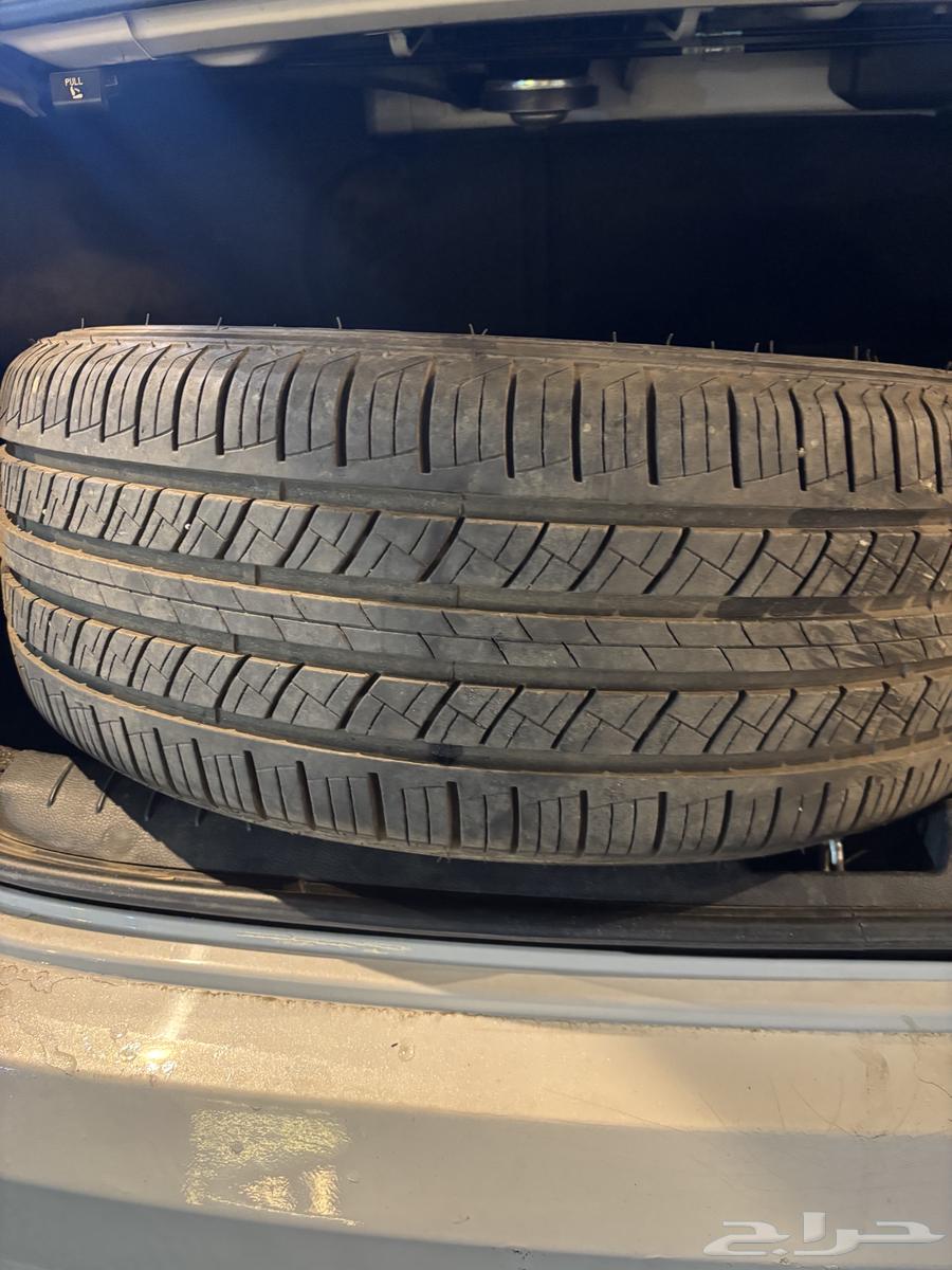 Kafar Mekas 1864465744942466110