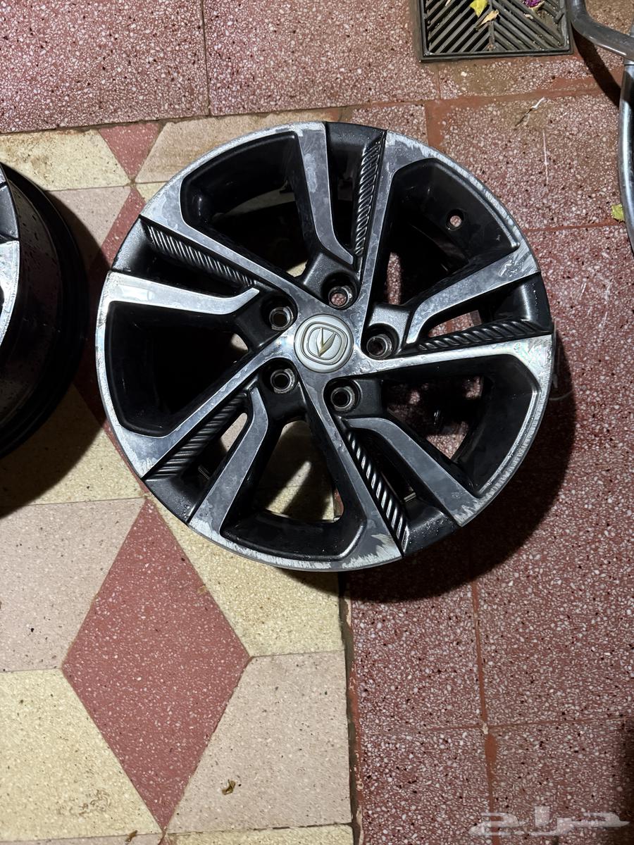 جنوط شانجان64465071894017113