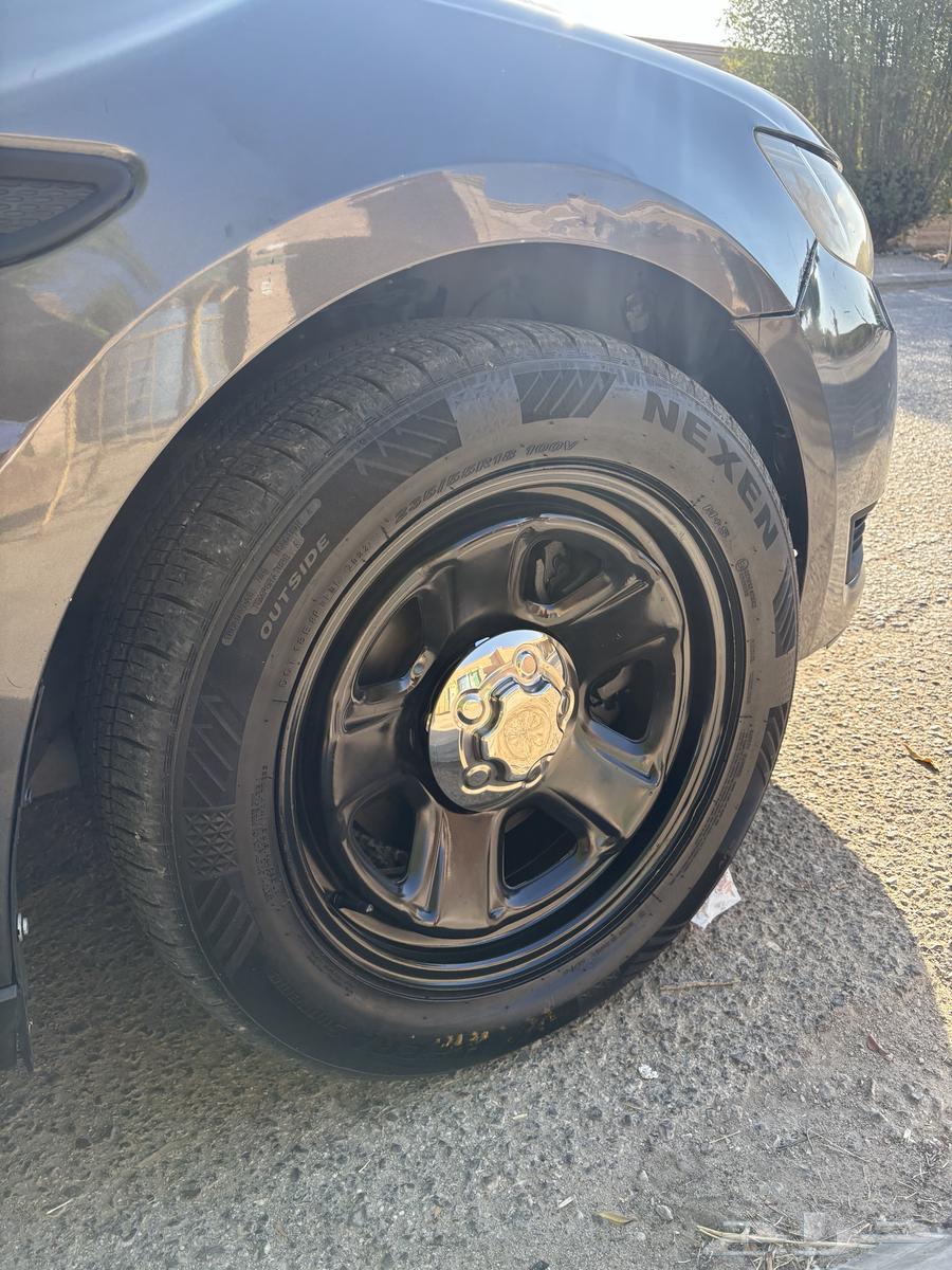 جنوط تورس و دوج بوليسي مع الاكواب64453806153601111