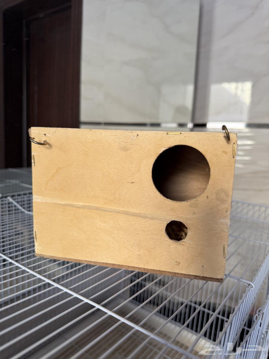 Bird Cages, Bed Sheets, and Feeders64320442351489113