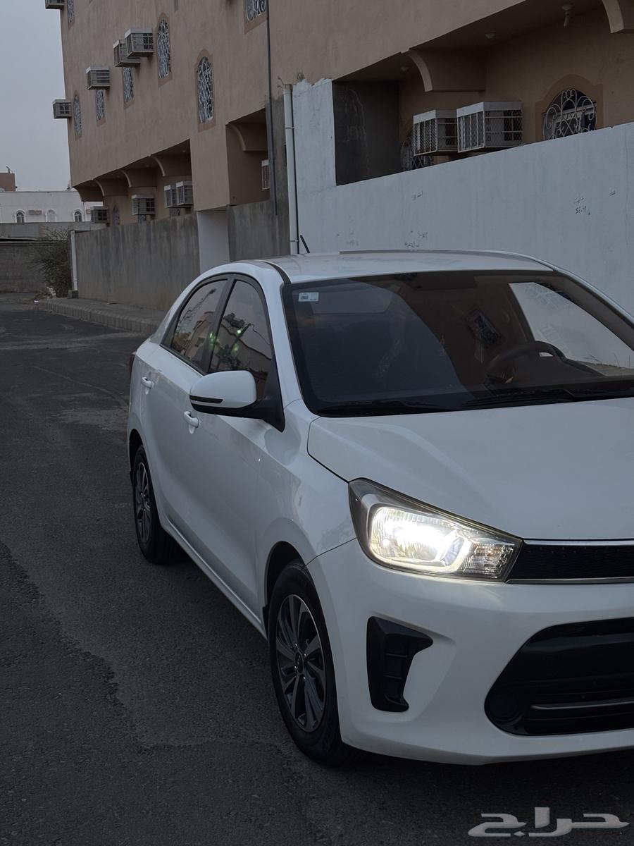 كيا بيجاس 2023 كل شيء وكالة64463531404546114