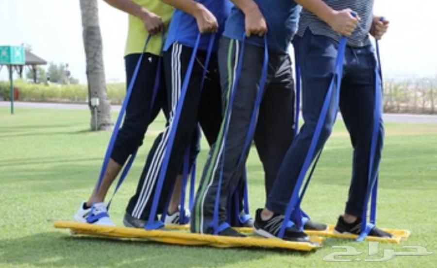 Walking Boards (Used)64320865782785110