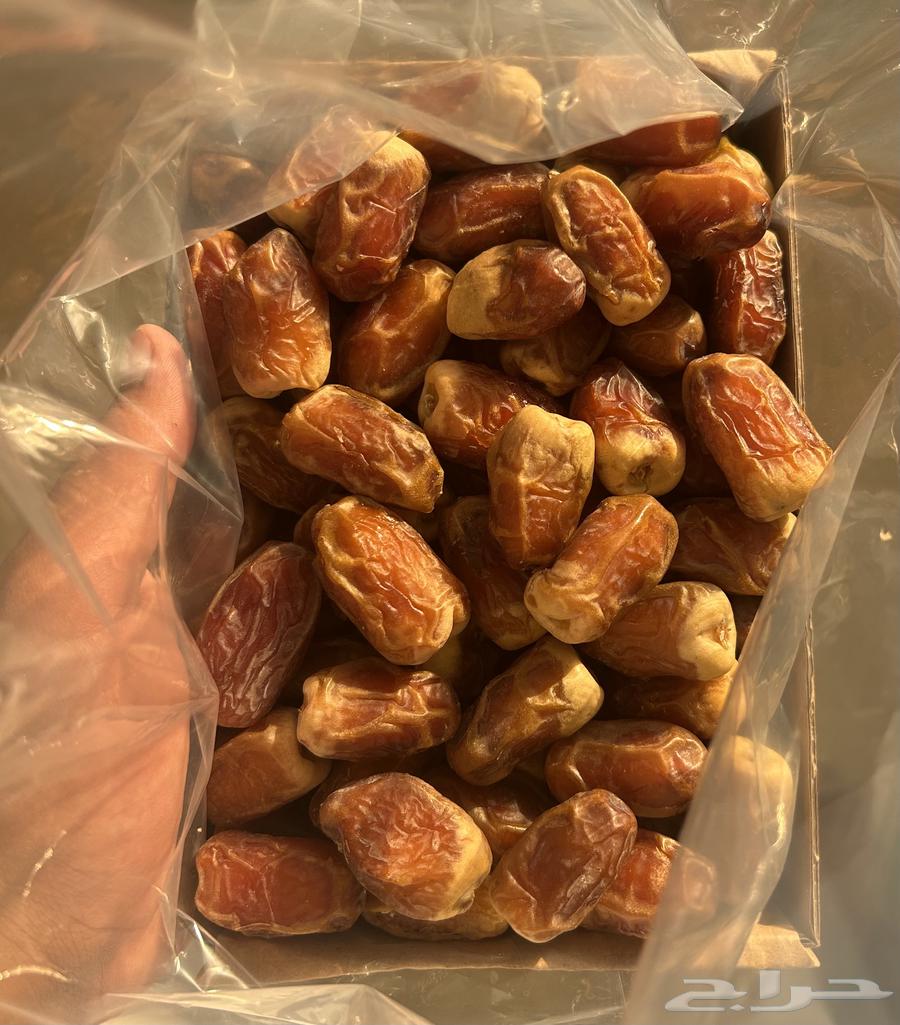 Luxury Sukkari Dates64319679058434111