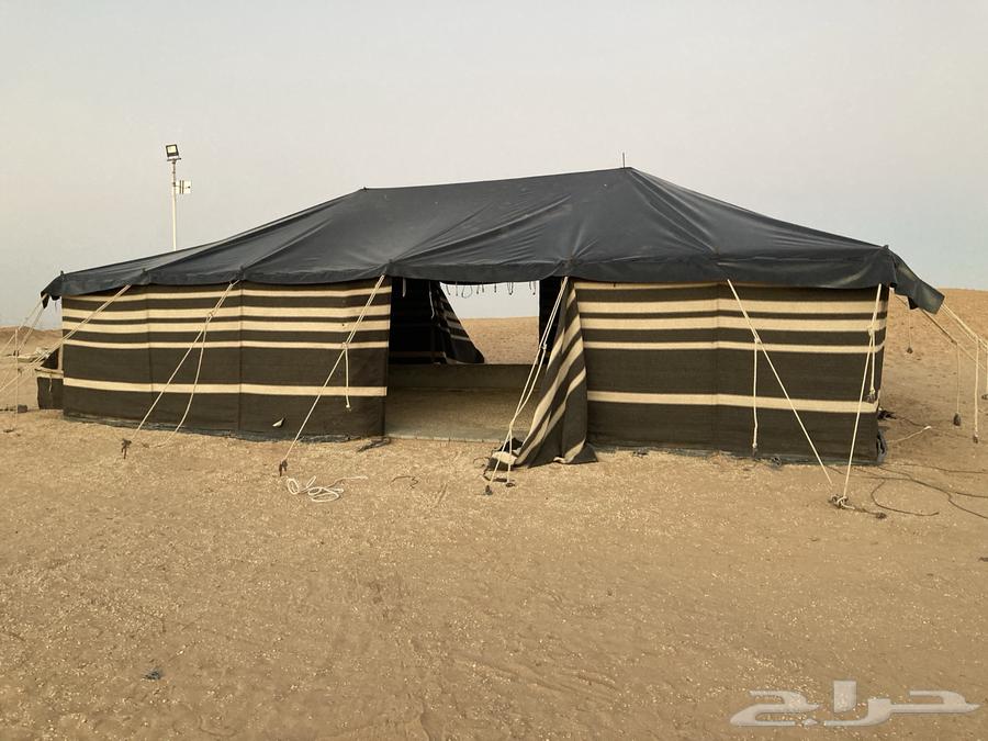 بيت شعر 12 طول في 864320038928130110