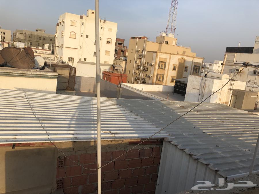 شينكو للبيع   صندقه   حديد64251543928834110