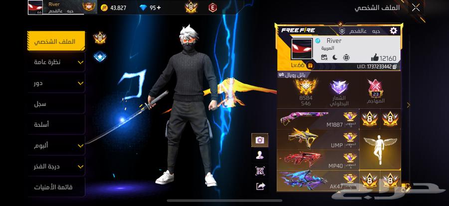 حساب فري فاير لفل 6664324122736899110