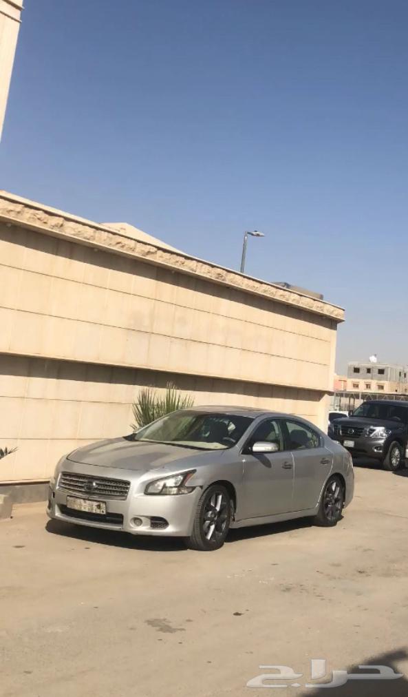 مكسيما 2010 للبيع64459914216707111