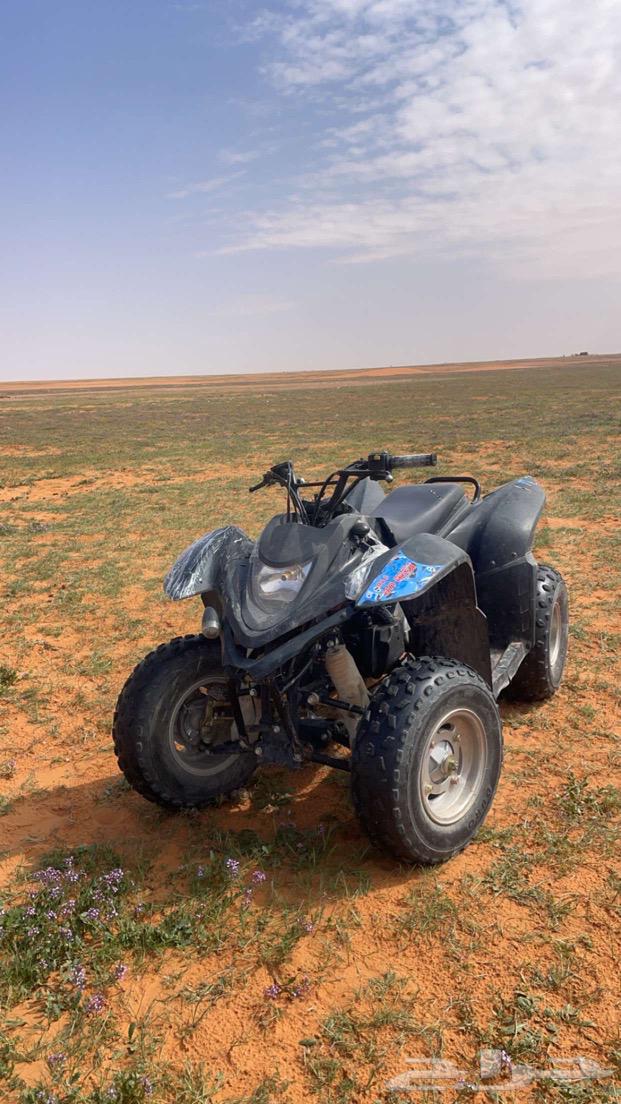 دباب رام مقاس110نضيف سريع جدا64462719360513111