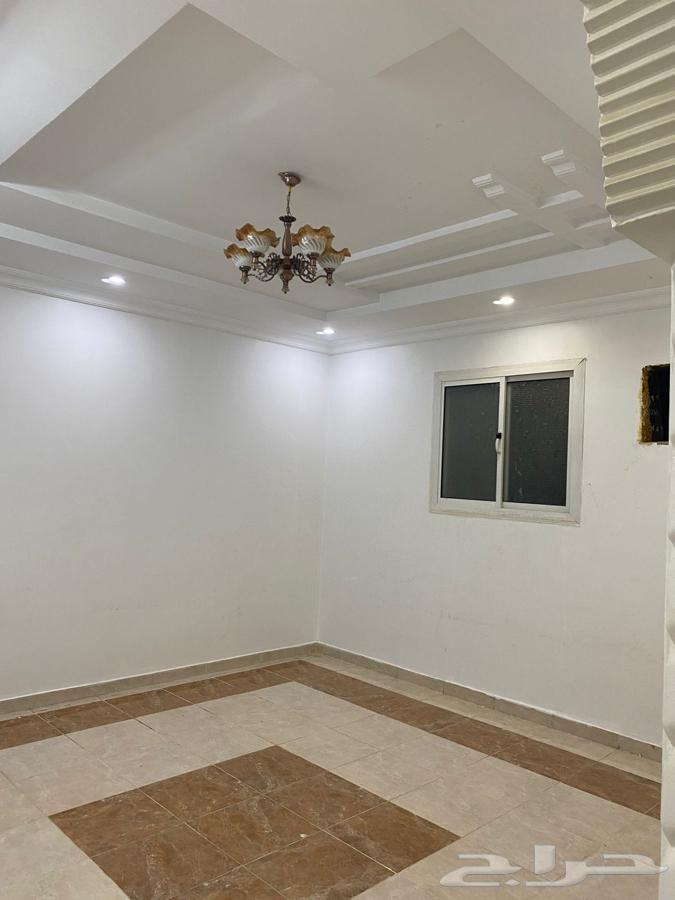 شقه للايجار بحي القادسيه63613618804225113