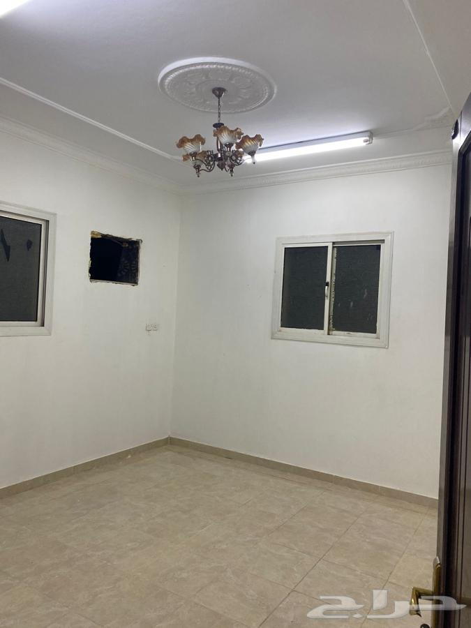 شقه للايجار بحي القادسيه63613618804225112