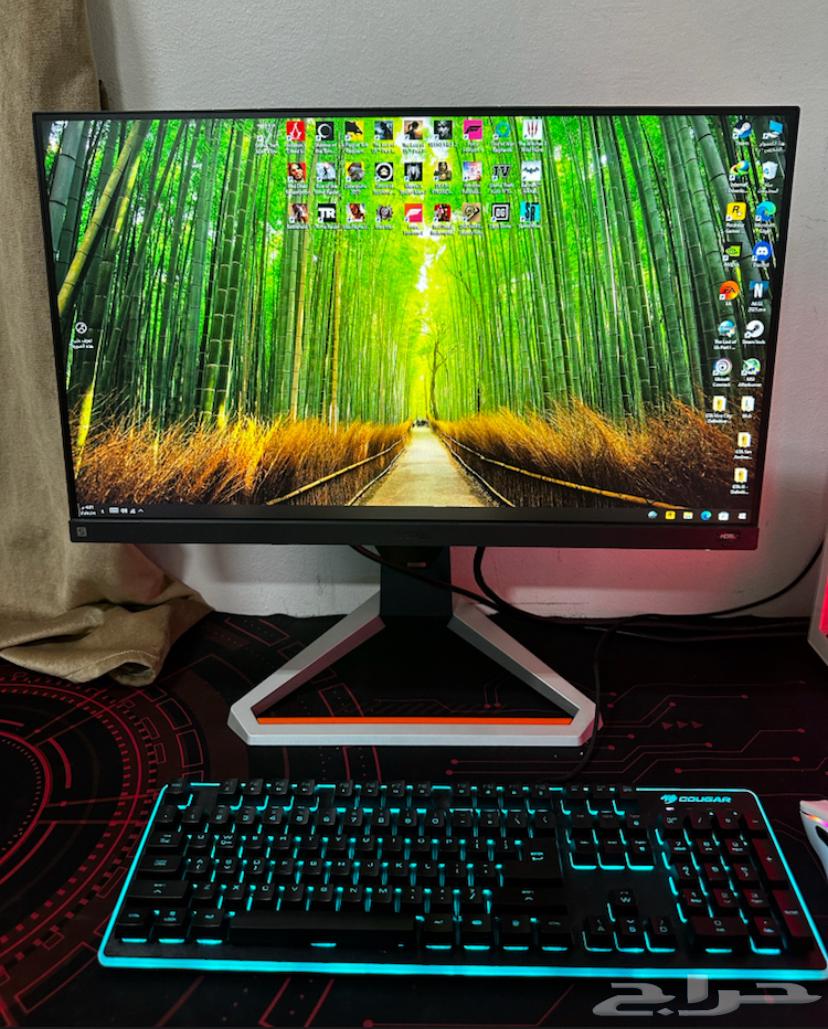 Professional gaming monitor64317347501826110