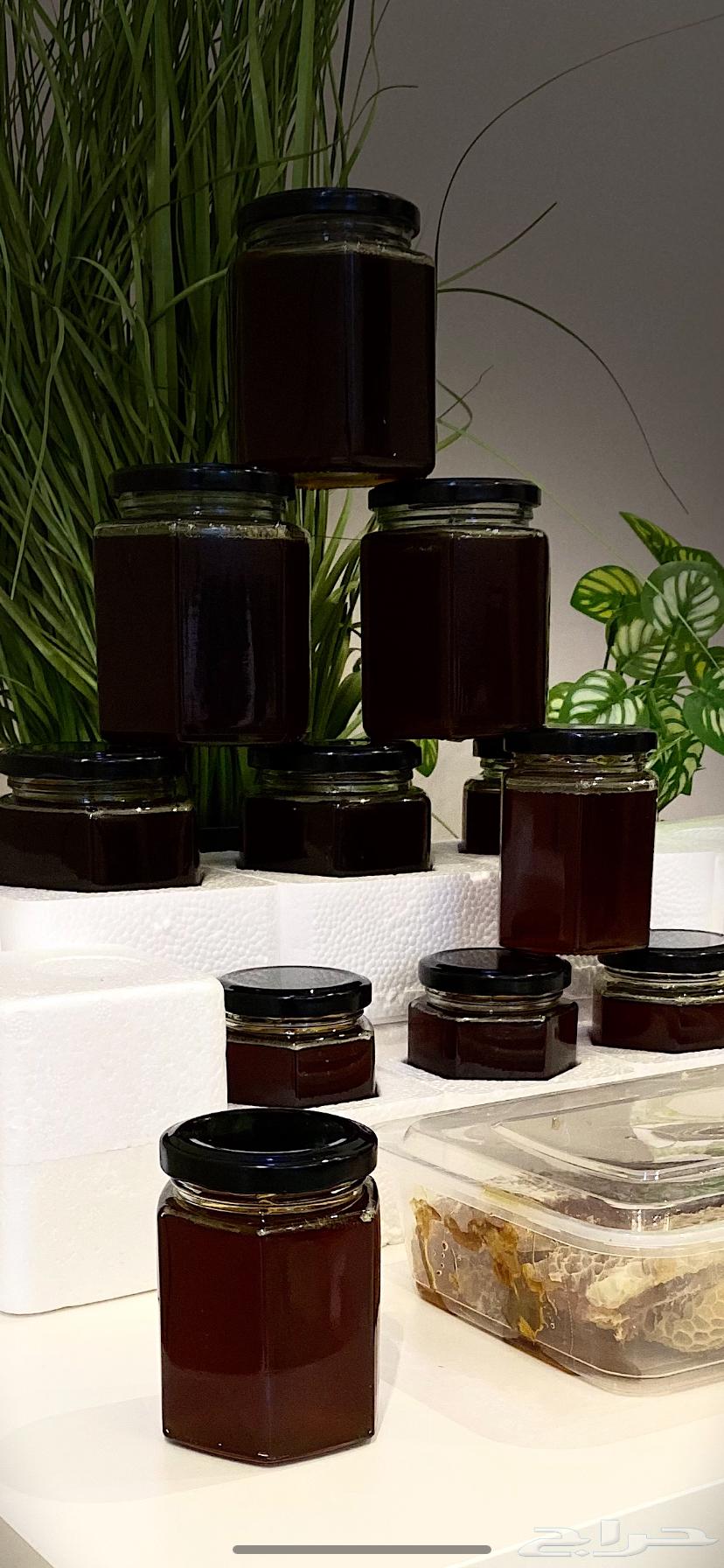 عسل طلح حائل مضمون بمشيئة الله64320926066819110