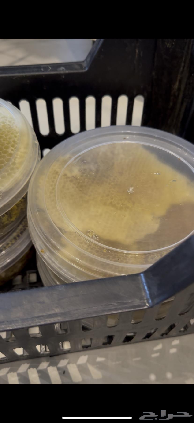 شمع النحل بلدي ومضمون64323970737539113