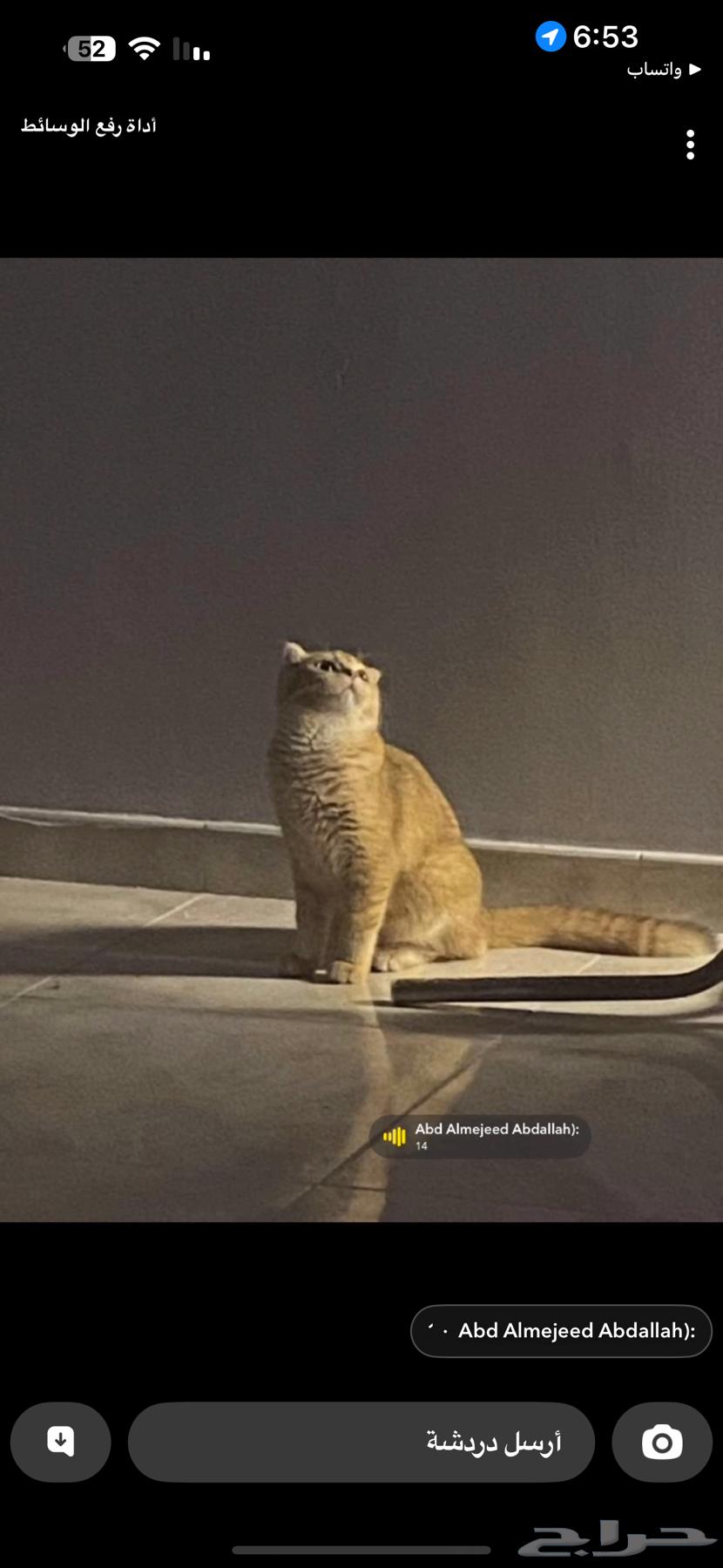 Scott Fold64318010076545114