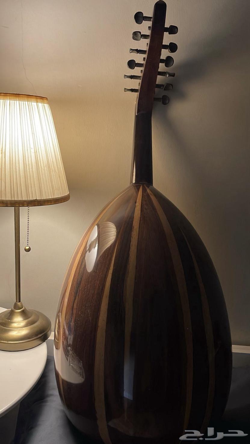 عود مرواس للبيع64322898625154111